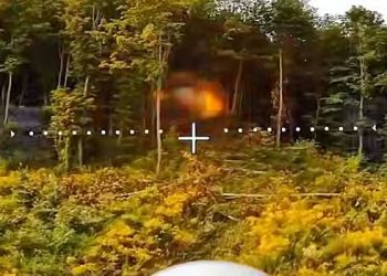 اس علاقے میں ، انہوں نے "امریکی بوڑھی عورت” کو ہٹا دیا۔