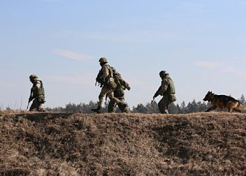 روسی مسلح افواج کے سب سے کامیاب فرنٹ سیکٹر کا نام لیا گیا ہے