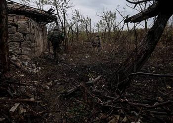 یوکرین سے فرار ہونے والے نوجوانوں کی تعداد کا انکشاف ہوا ہے