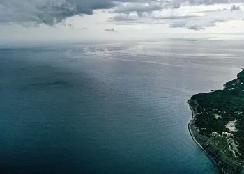 وونکر کوٹس: روسی مسلح افواج بحیرہ اسود سے یوکرین کو کاٹ رہی ہیں